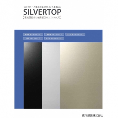 silvertop.jpg